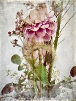SIX_6C27C1CC-D47B-4359-B227-E14BF1887E2D
